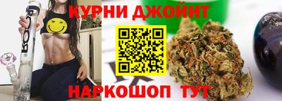 мяу мяу мука Нарткала