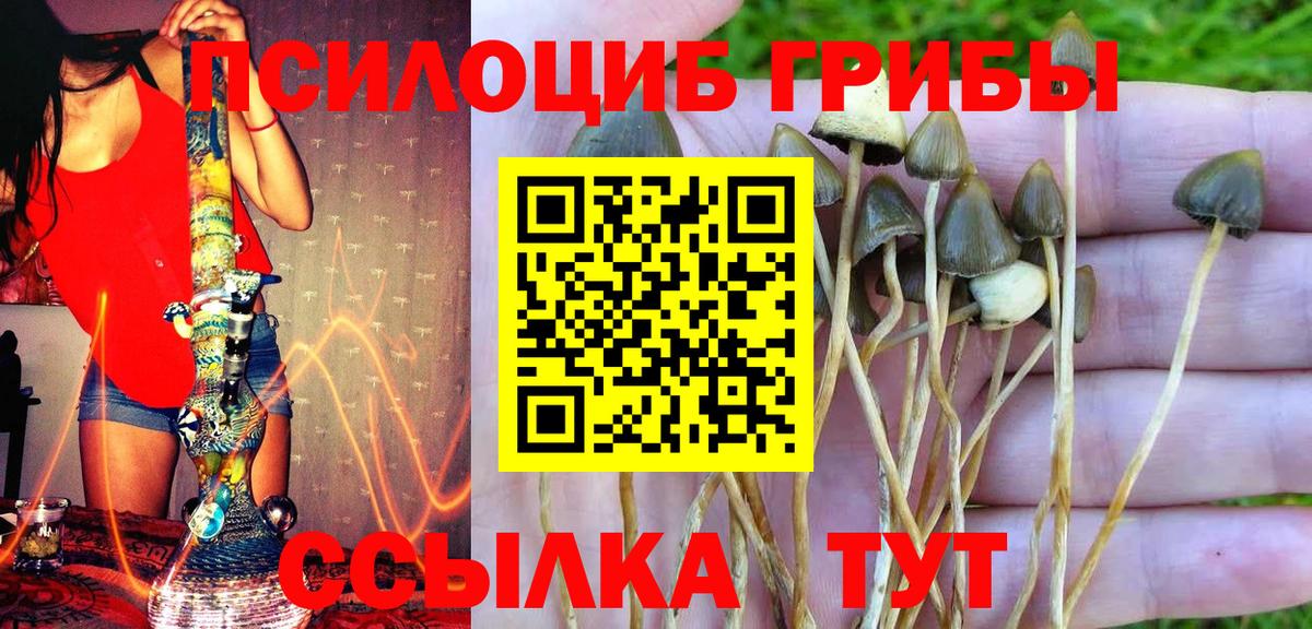 Галлюциногенные грибы мухоморы  Вход с VPN  Скопин 